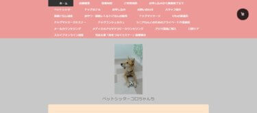 ペットシッターコロちゃんち