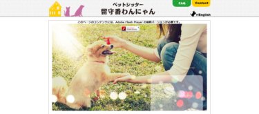 ペットシッター留守番わんにゃん