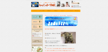 キャットシッターつきのはし